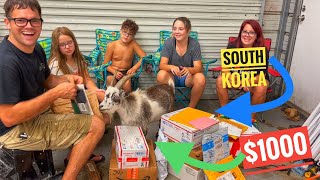 Rocky gets kicked out! Fan mail August 2022