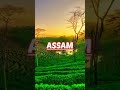 Assam Status ❤assmese Status Video Assam / Assamese WhatsApp Short Videi #assa