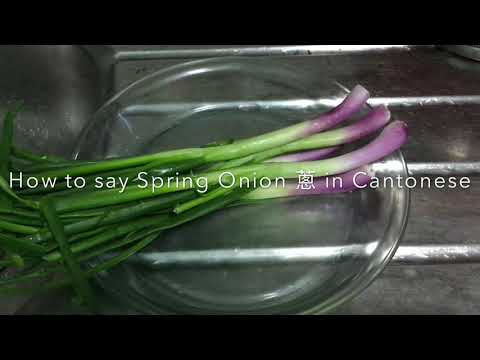 How To Say Spring Onion 蔥 In Cantonese