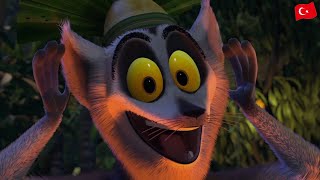 Madagascar – I Like To Move It (Turkish)
