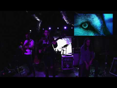 Weird Wolves - Realization Live Elysium 2019