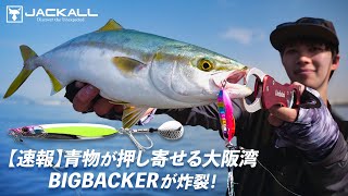 【速報】青物が押し寄せる大阪湾 BIGBACKERが炸裂！/ 金井光輝 — 南港新波戸