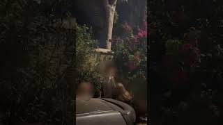 Κόσμος προσπαθεί να μπει στη συναυλία της Άννας Βίσση