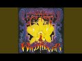 Wild Flower (Extended Rock Mix)