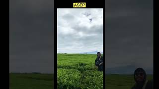 Download lagu TINKY WINKY UDAH BESAR SKRNG YA #viral #shorts #short mp3