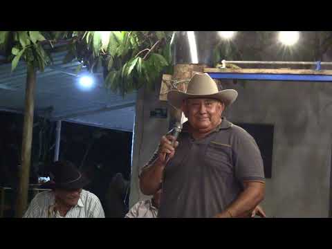 The story of the cat Picardía Llanera at the National Meeting of Llano Work Songs