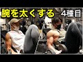 【筋トレ】NABBAプロを目指すりょうマッスルと腕トレ【スポーツモデル】