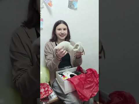 Dogs United - Christmas at the Girls Club - Ukraine