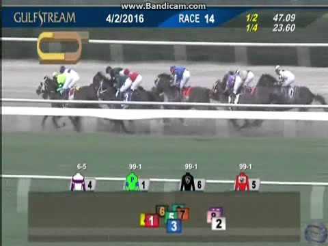 2016 FLorida Derby
