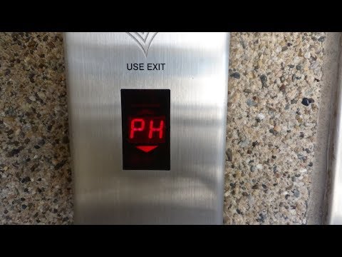 Delaware Traction Modded Elevator (Car 13) at Sea Colony - Edgewater House, Bethany Beach, DE