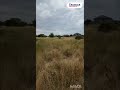 Видео превью
