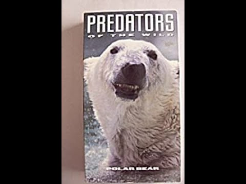 Predators of the Wild: Polar Bear (VHS full documentary)