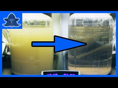 Sugar Wash Fermentation #1 (Time Lapse)