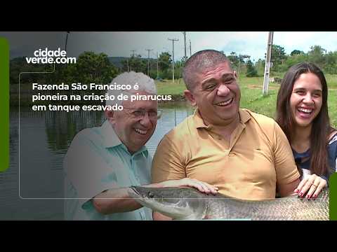 Fazenda São Francisco é pioneira na criação de pirarucus em tanque escavado
