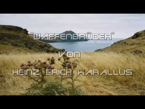 Waffenbrüder (Dire Straits Cover von "Brother In Arms")