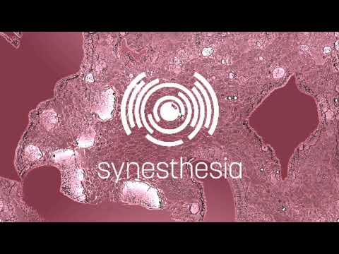 LIVE SET / Bass/Deep House/Bassline 15/11/19