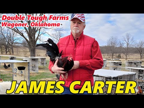 OKLAHOMA !! James Carter Double Tough Farms Beautiful Birds