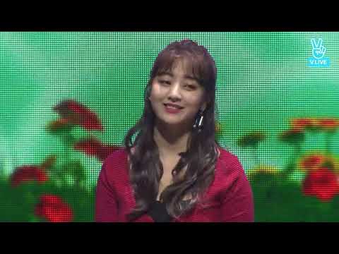 Download Twice Turtle Mp3 Free And Mp4 Download Twice Turtle Mp3 Free And Mp4