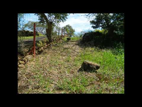 Imagen de Venta de Lotes y Terrenos en Alajuela - Alajuela Alajuela - ALAJUELA