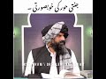 New Beautiful Status Jannati Hoor Dr Muhammad Suleman Misbahi WhatsApp Status Shorts