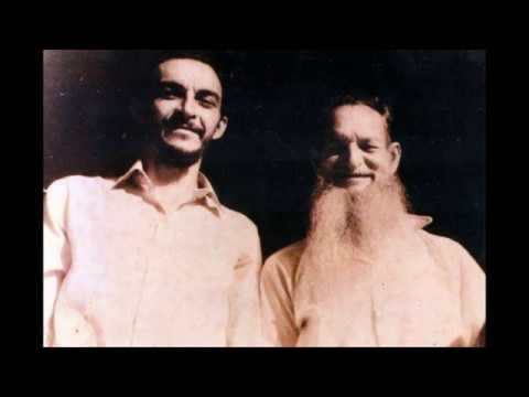 O Encantar Beija-flor - Padrinho Alfredo