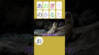 あおぎりかるた「お」(オットセイ)【あおぎり高校/音霊魂子/切り抜き】#shorts
