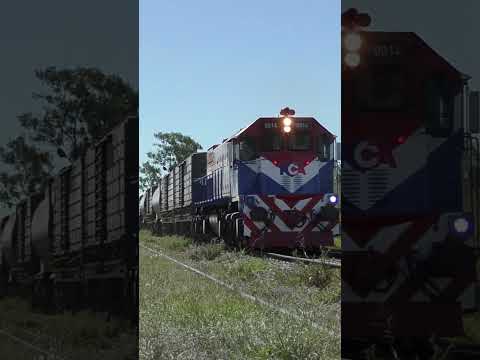 ¡Al OCHAZO! 🔊 GT22 9014 volando por Tortugas