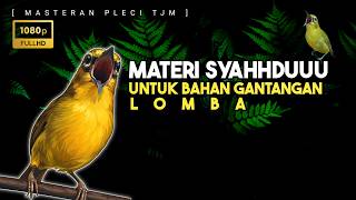 Download lagu 🔴 LIVE Masteran Pleci Tembakan Syahdu Untuk Lomba Pleci Digantangan mp3
