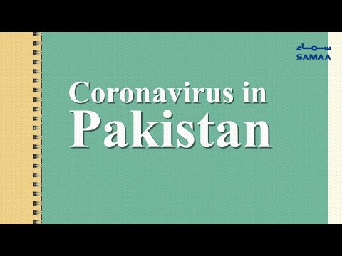 Pakistan corona virus daily cases graph | SAMAA TV | August 13 2020