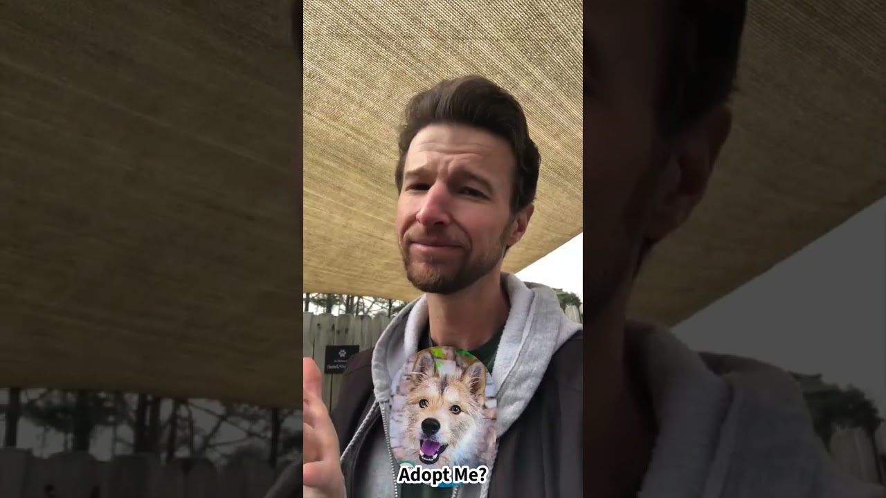 Enlarge Ember, an adoptable mixed breed in Kennesaw, GA video 6/6