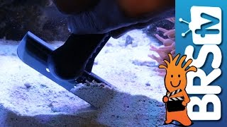 The surprising & cool features of the Tunze Care Magnet! 