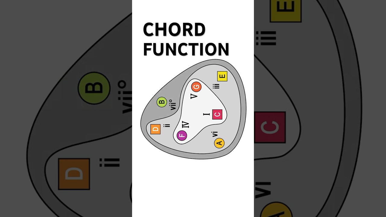 How chords FUNCTION in music #guitar #musictheory #guitarlesson
