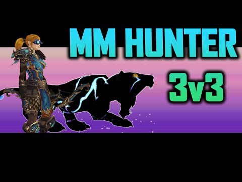 2800+ Marksmanship Hunter 3v3 Arena #11