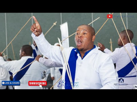 Inyoni  Emaphiko Ayisithupha || 2025 || Sadalwa Inkosi || Ungumhlobo Wami UJesu.