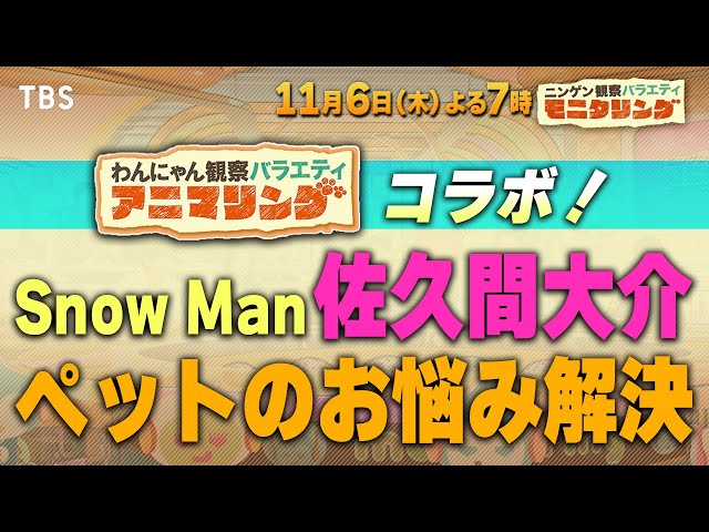 ニンゲン観察バラエティ　モニタリング🈑