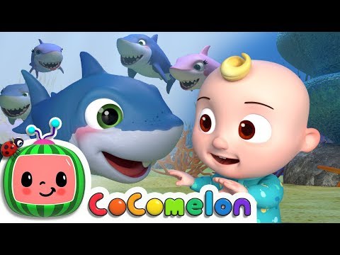 Sample YT Video