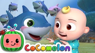 Vignette de la vidéo "Baby Shark | CoComelon Nursery Rhymes & Kids Songs"