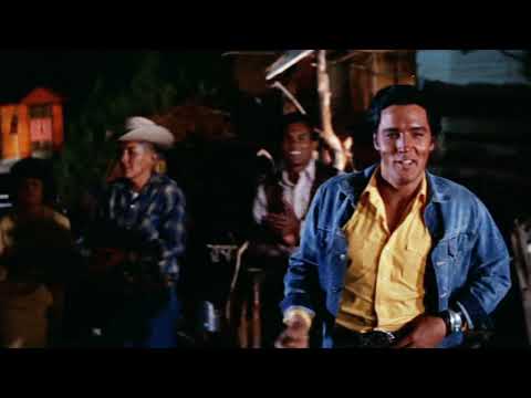 Stay Away Joe video