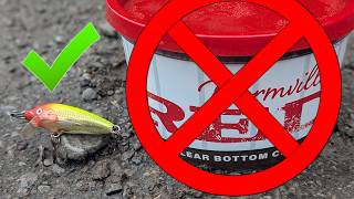 I Have Been WAITING For THIS Day! (Crankbait vs Live Bait)