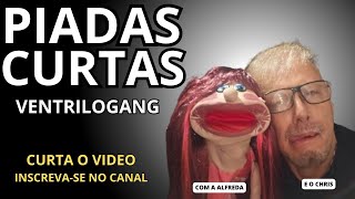 SHOW DE PIADAS CURTAS VENTRILOGANG
