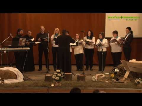 Corul Diaconia al Bisericii Tuturor Sfintilor, Cetatea Fetei, Floresti