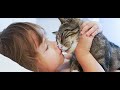 Cats And Dogs Are The Cutest Cute Videos Funny