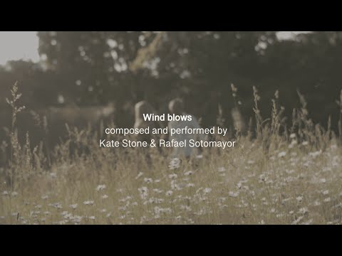 Wind Blows - Kate Stone & Rafael Sotomayor | Opsilon Handpan Duo