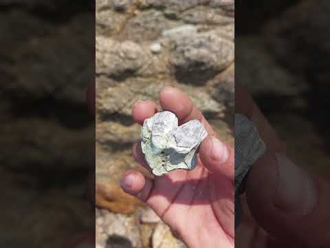 Beach life | Beach ⛱️  side life | Nasar Nature