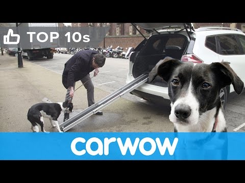 Nissan X-Trail 4Dogs - see its cool canine-friendly features | Top10s