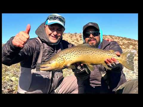 Pesca en el Río Limay -Neuquén-