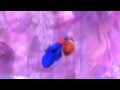 Stay Awake Finding Nemo