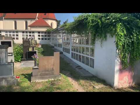 Cemetery Pardubičky + Pet Cemetery. Quiet walk. Sounds of nature. Calm. September 2024