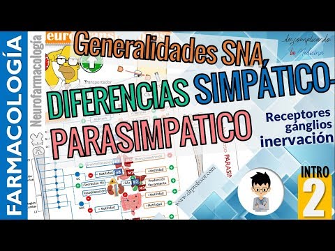 DIFFERENCES between SYMPATHETIC AND PARASYMPATHETIC SYSTEMS, Clinical Application-NEUROPHARMACOLO...