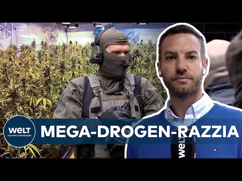 Mega-CANNABIS-Plantage in Essen ausgehoben: Weltweite RAZZIA gegen DROGENSZENE